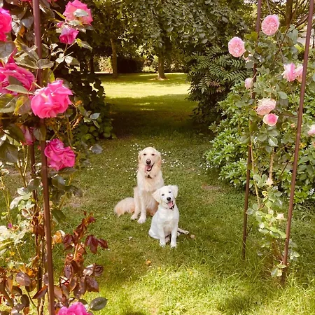 Chateau Folies - Escapade Nature 120m2 - 5 Couchages Holiday home *