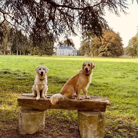 Chateau Folies - Escapade Nature 120m2 - 5 Couchages Holiday home