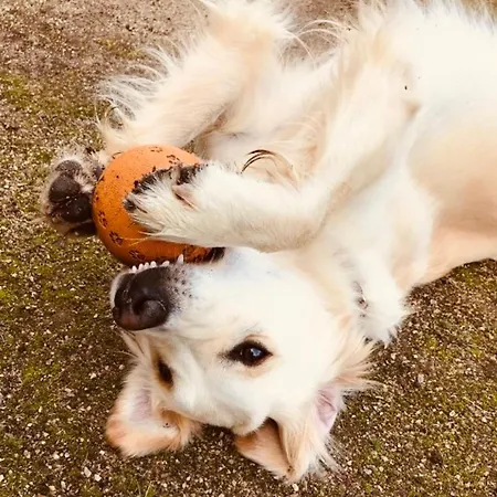 Chateau Folies - Escapade Nature 120m2 - 5 Couchages Marolles (Pays d'Auge)