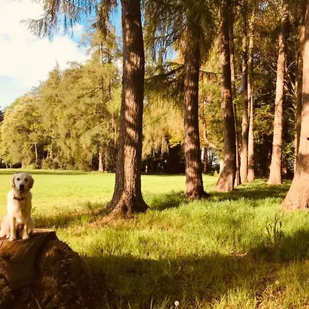 Chateau Folies - Escapade Nature 120m2 - 5 Couchages Holiday home Marolles (Pays d'Auge)