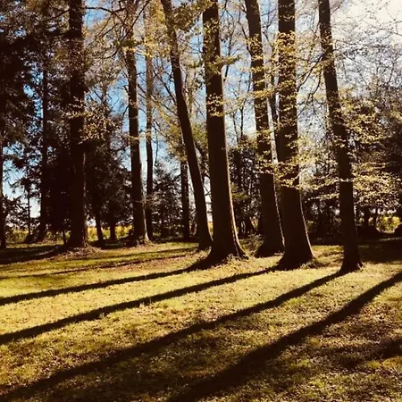 Chateau Folies - Escapade Nature 120m2 - 5 Couchages Holiday home *