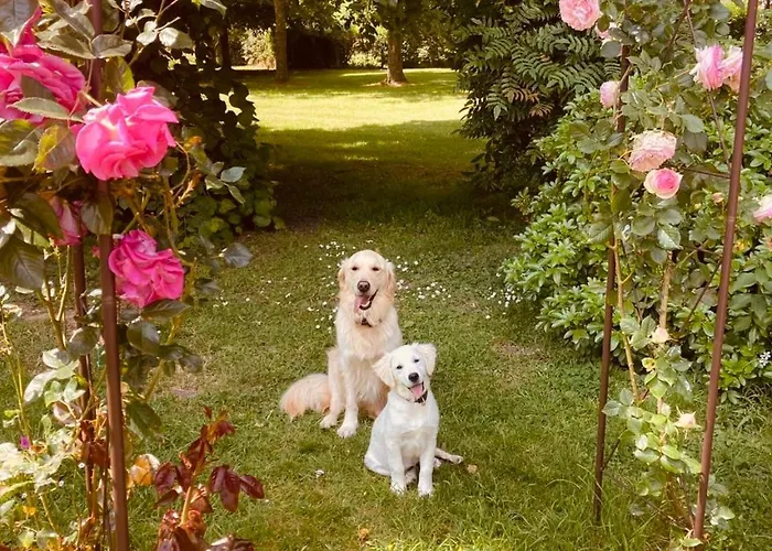 Château Folies - Escapade Nature 120m2 - 5 Couchages Hébergement de vacances *