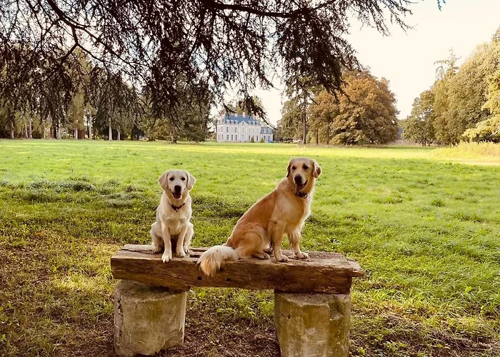 Château Folies - Escapade Nature 120m2 - 5 Couchages Hébergement de vacances