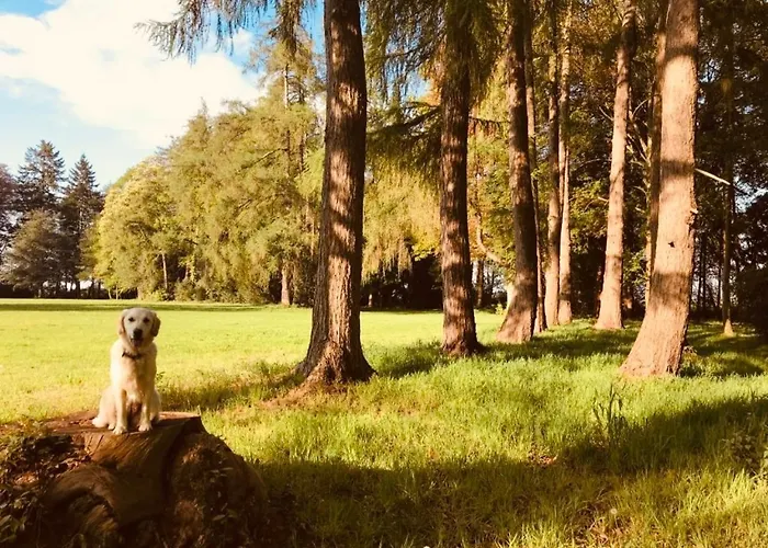 Château Folies - Escapade Nature 120m2 - 5 Couchages Hébergement de vacances Marolles (Pays d'Auge)